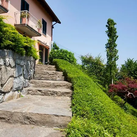 Belvedere *